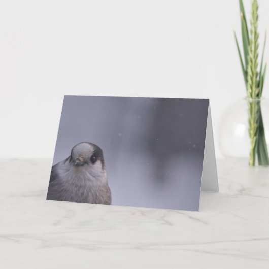 見る カード (正面)