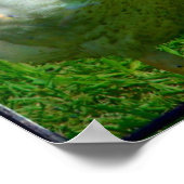 見る ポスター (角)