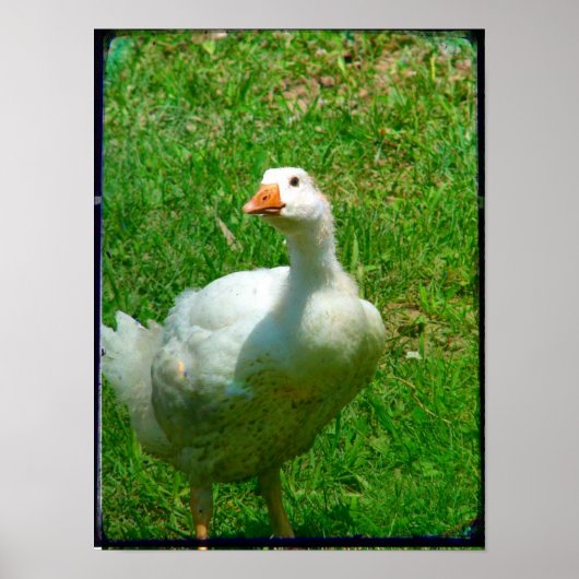 見る ポスター (正面)