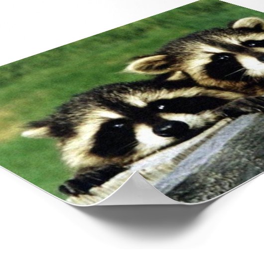 見る ポスター (角)