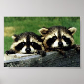 見る ポスター (正面)