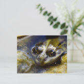 見る ポストカード (スタンド正面)