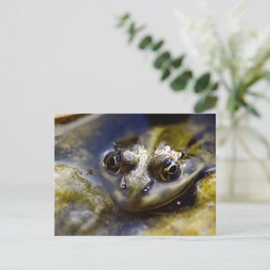 見る ポストカード (スタンド正面)