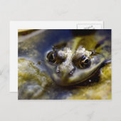 見る ポストカード (正面/裏面)