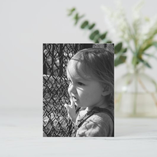 見る ポストカード (スタンド正面)