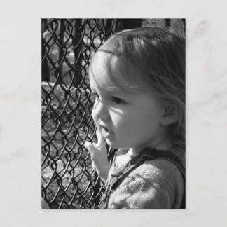 見る ポストカード