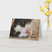 見ろ！この猫はハッピーバースデーを！ カード (黄色い花)