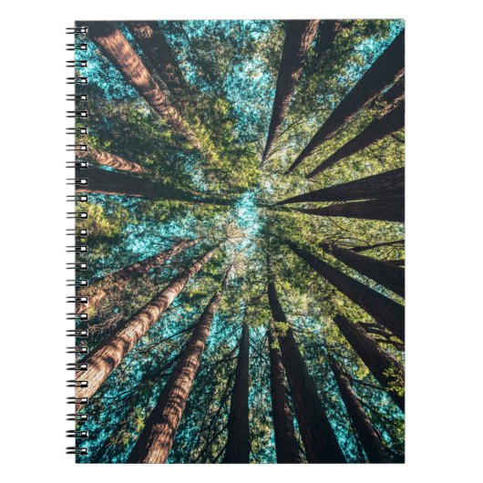 見上げて ノートブック (正面)