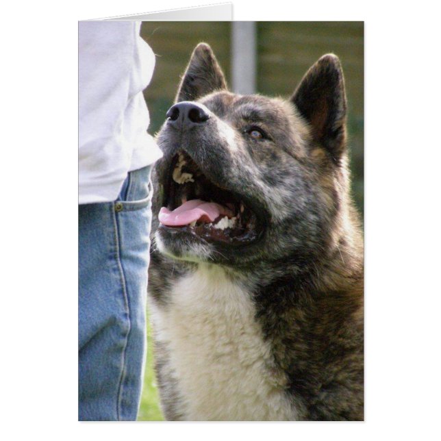 見上げるインカ (正面)