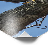 見上げる フォトプリント            (角)