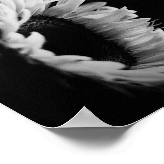 見上げる ポスター (角)