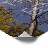 見上げる ポスター (角)