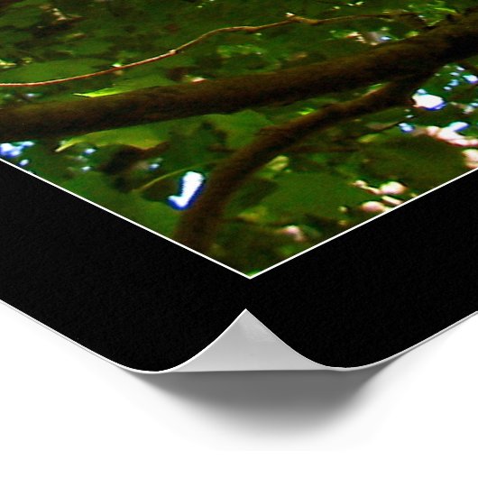 見上げる ポスター (角)