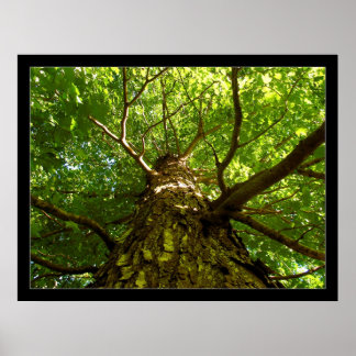 見上げる ポスター