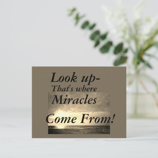 見上げる ポストカード (スタンド正面)