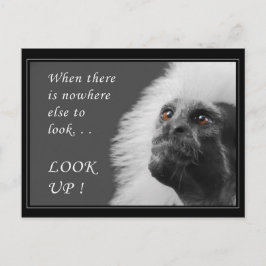 見上げる ポストカード