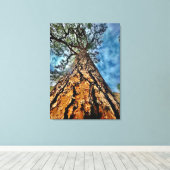 見上げろ！ キャンバスプリント (インサイチュ (ウッドフロア))