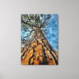 見上げろ！ キャンバスプリント