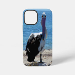見下してるペリカン, iPhone 12 MINIケース