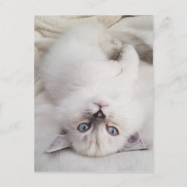 見下ろす ポストカード