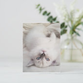 見下ろす ポストカード (スタンド正面)