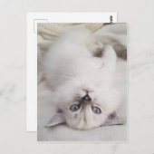 見下ろす ポストカード (正面/裏面)