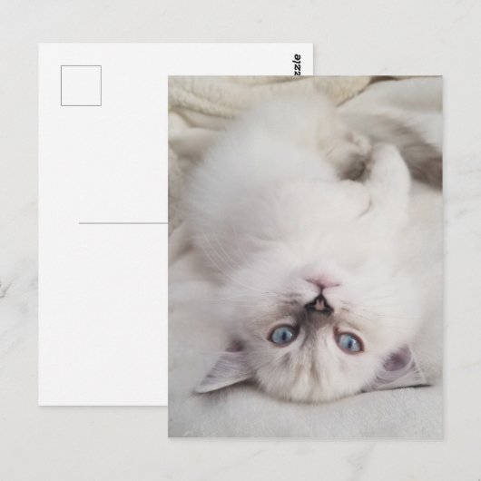 見下ろす ポストカード (正面/裏面)