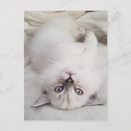 見下ろす ポストカード