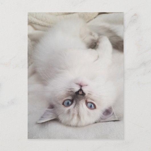 見下ろす ポストカード (正面)