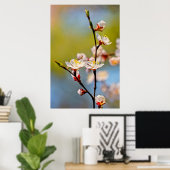 見事なア日本のプリコット花 ポスター (ホームオフィス)