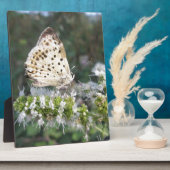 見事なクリームとチョコレートの蝶 フォトプラーク (側面)