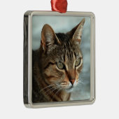 見事なタビー猫のクローズアップ・アーティスティック・ポートレート メタルオーナメント (右)