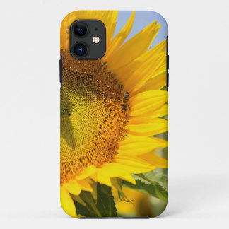 見事なヒマワリ! iPhone 11 ケース
