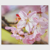 見事なピンクの桜の花の束 ラッピングペーパー (フラット)
