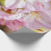 見事なピンクの桜の花の束 ラッピングペーパー (角)