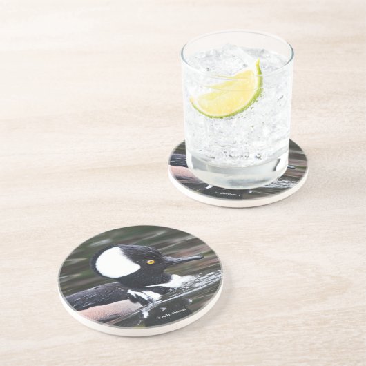 見事なフード付きハクガン 泳いで通り過ぎる コースター (側面)