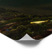 見事な滝に太陽の光が差し込む ポスター (角)