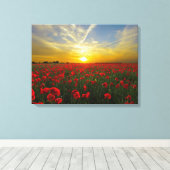 見事な赤いケシ キャンバスプリント (インサイチュ (ウッドフロア))