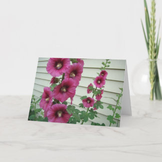 見事なHollyhocks カード