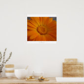 見事！ ポスター (キッチン)