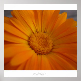 見事！ ポスター