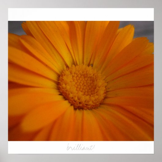 見事！ ポスター (正面)