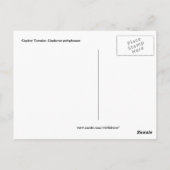 見張り台の亀 ポストカード (裏面)