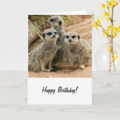 見晴らしにメルカツ カード (黄色い花)