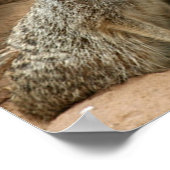 見晴らしにメルカツ ポスター (角)