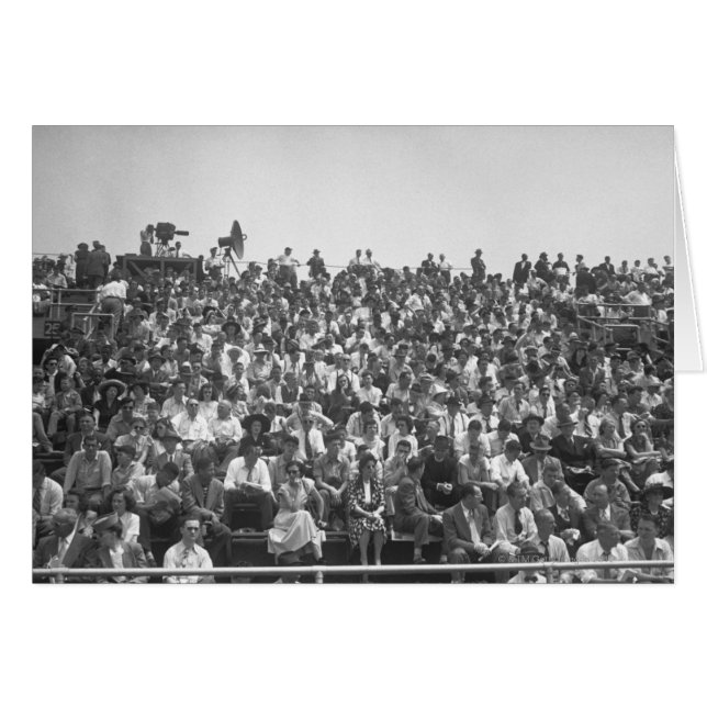 見物人 (正面横)