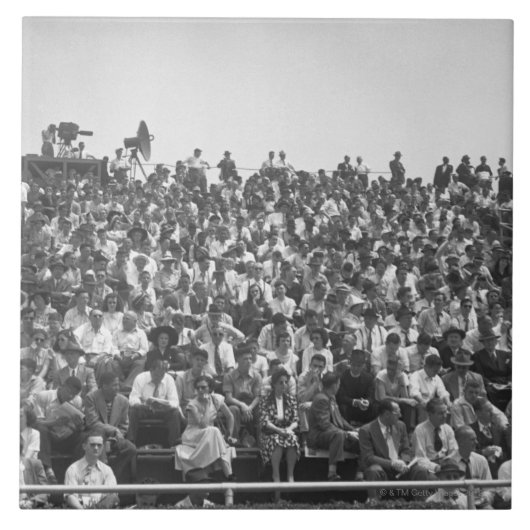 見物人 タイル (正面)