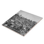 見物人 タイル (側面)