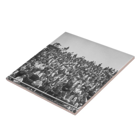 見物人 タイル (側面)