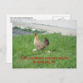 見返しはがきを探しています ポストカード (正面/裏面)